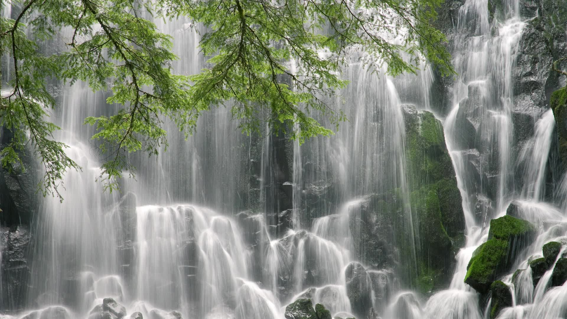 世界体能恢复数据平台接入多家俱乐部：训练管理更便捷，世界体能大赛